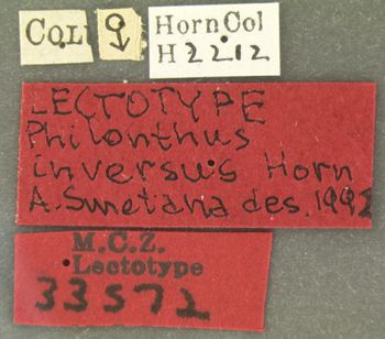 Media type: image;   Entomology 33572 Aspect: labels